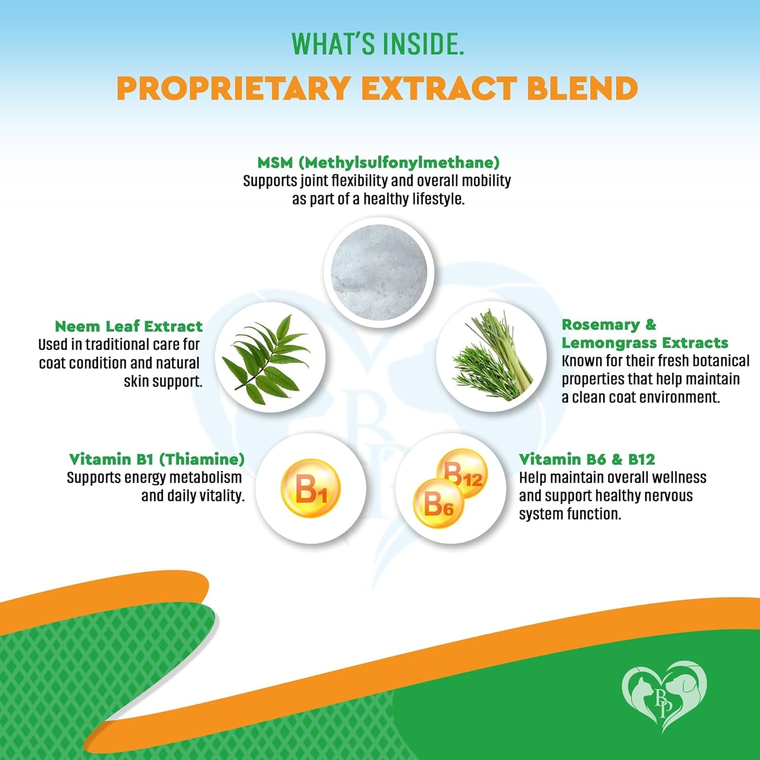 Beloved Pets Oral Flea & Tick Support Multivitamin Supplement for Dogs & Cats, 60-ml Bottle