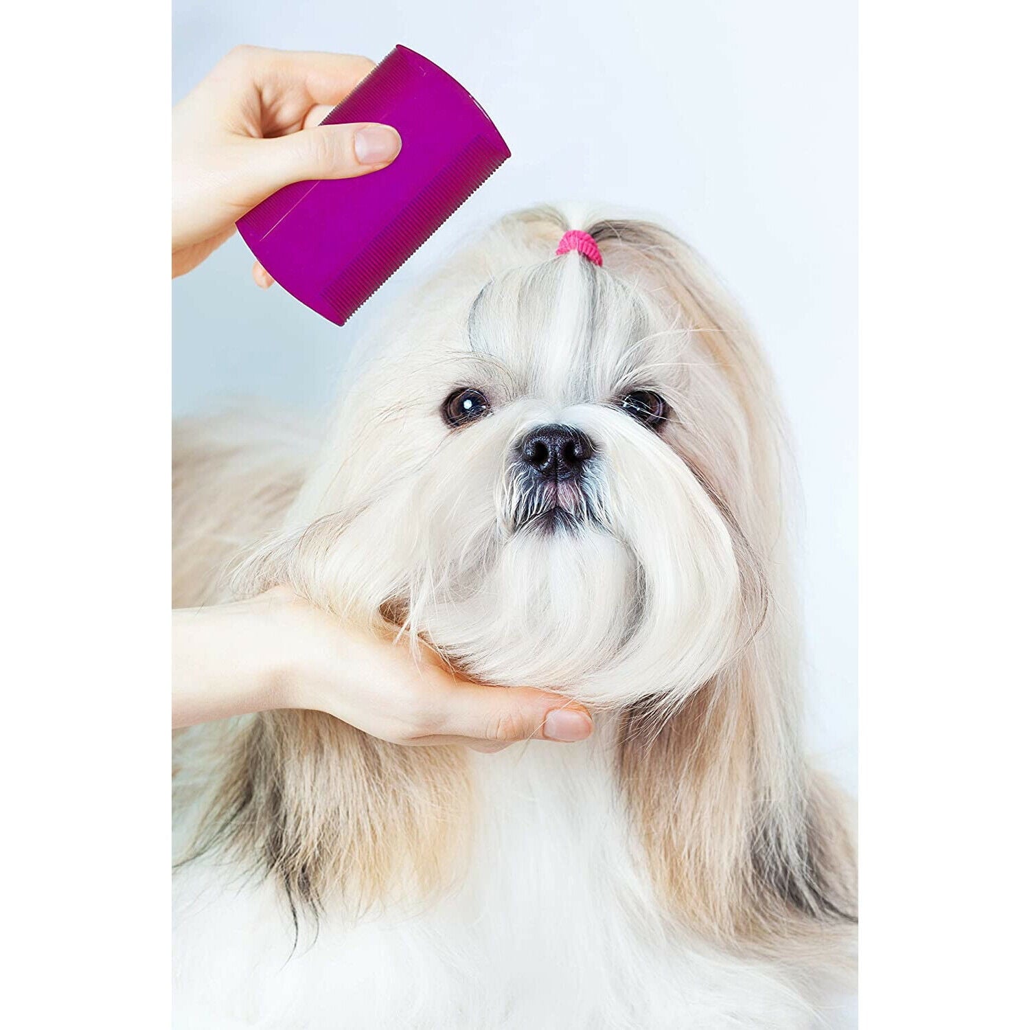 Pets First Lice and Fle a Professional Grooming Comb for Cats, Dogs, and Mammals