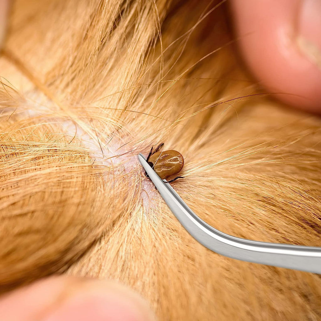 Tnobhg 3Pcs/Set Tick Removal Tool Stainless Steel Pets Easy Durable Effective Tick Remover for Dogs Cats Humans