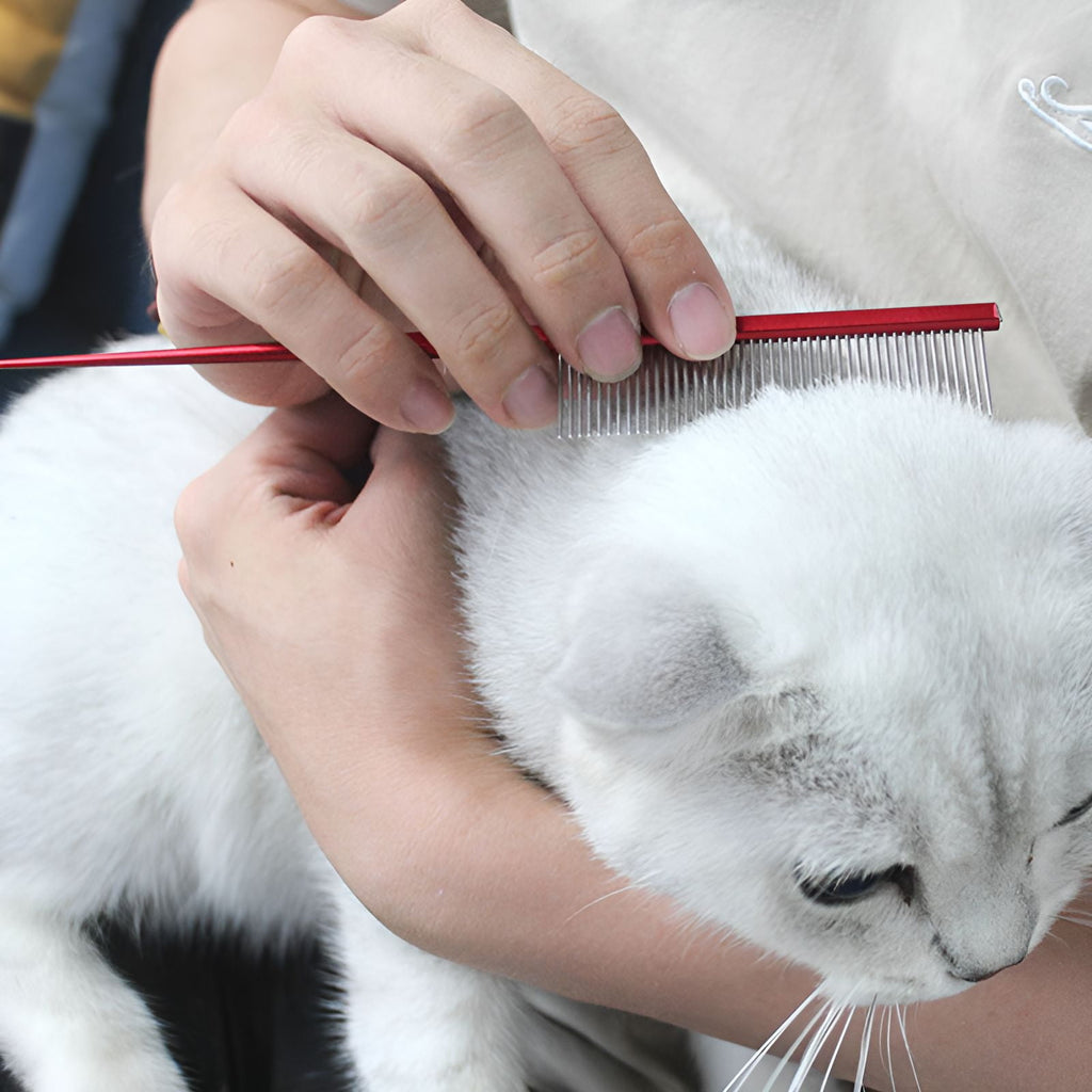 ACDANC Dog Comb,Strong Bristles Metal Comb,Precise Grooming Dematting Comb for Dogs,Blue