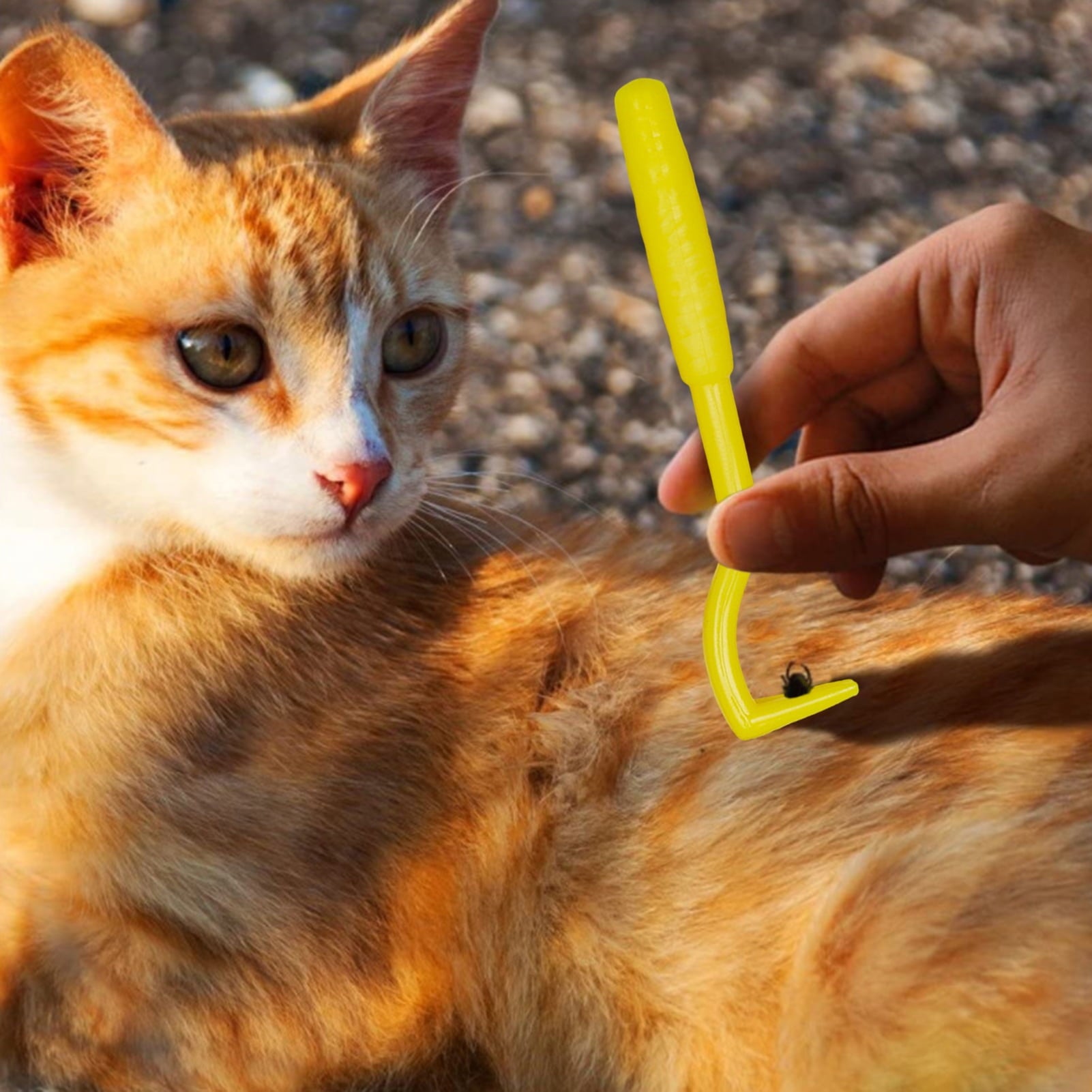 MIRROR 3Pcs Pet Flea Remover Effective Pet Tick Remover Hook Safe Pet Care Tick Extraction Tools Pet Supplies