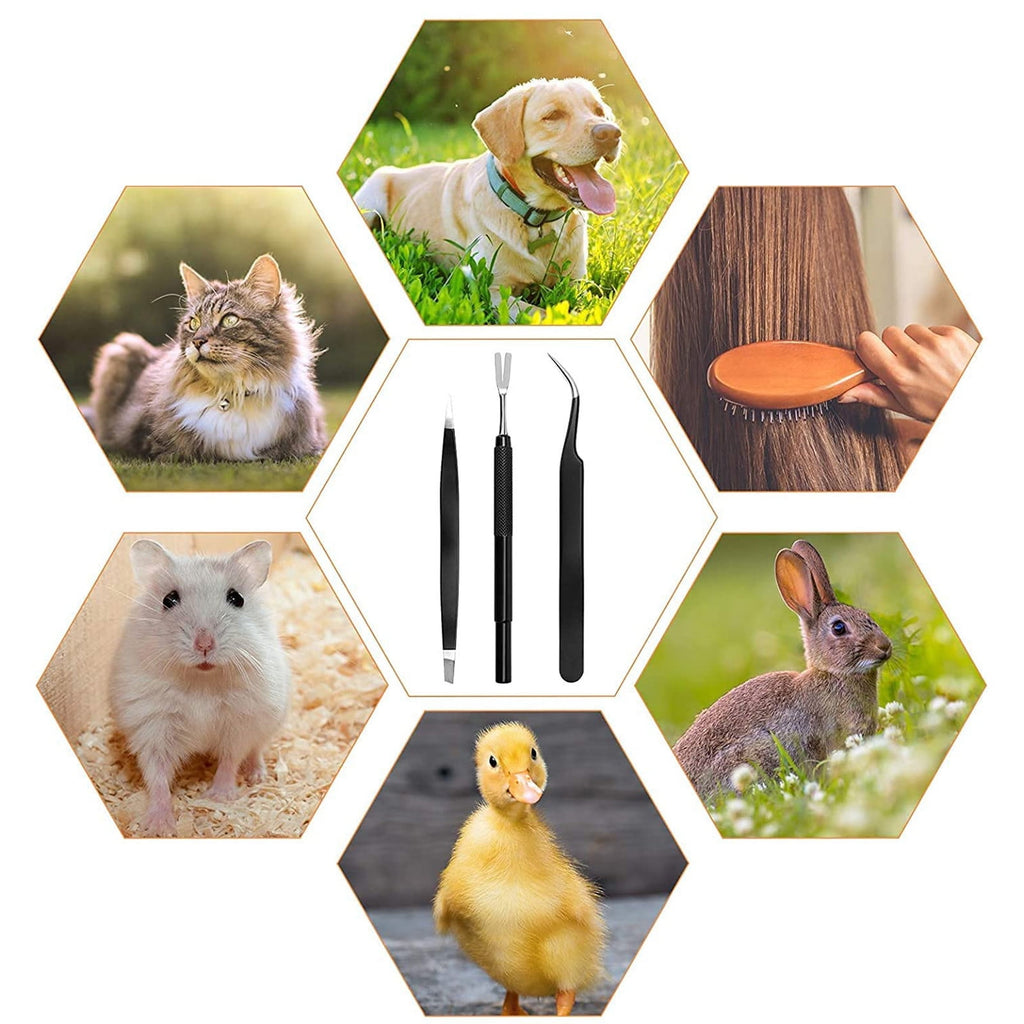 Stainless In Kit 3 Tick Tick Coitek Remover Remover Tweezers Black Tick 1 Tools & Home Improvement, Tweezers Set (3 Pieces)