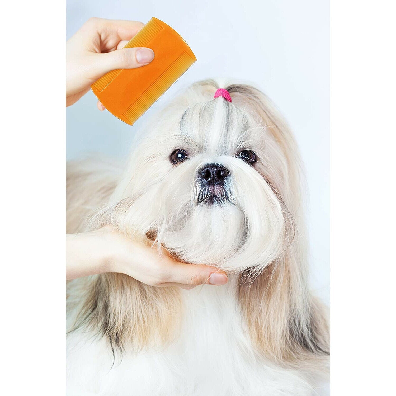 Pets First Lice and Fle a Professional Grooming Comb for Cats, Dogs, and Mammals