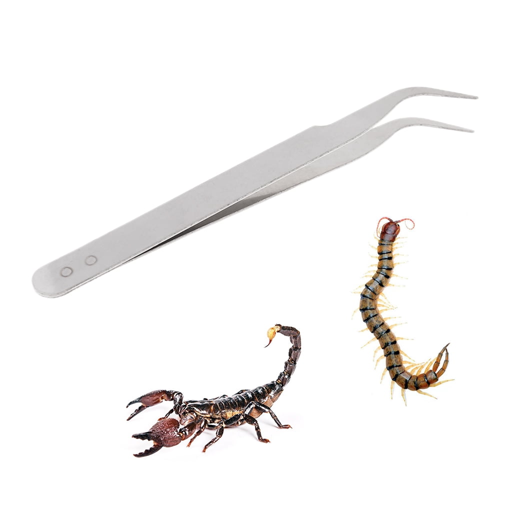 Reptile Feeding Tweezers Stainless Feeder Tweezers for Pet Snakes Lizard