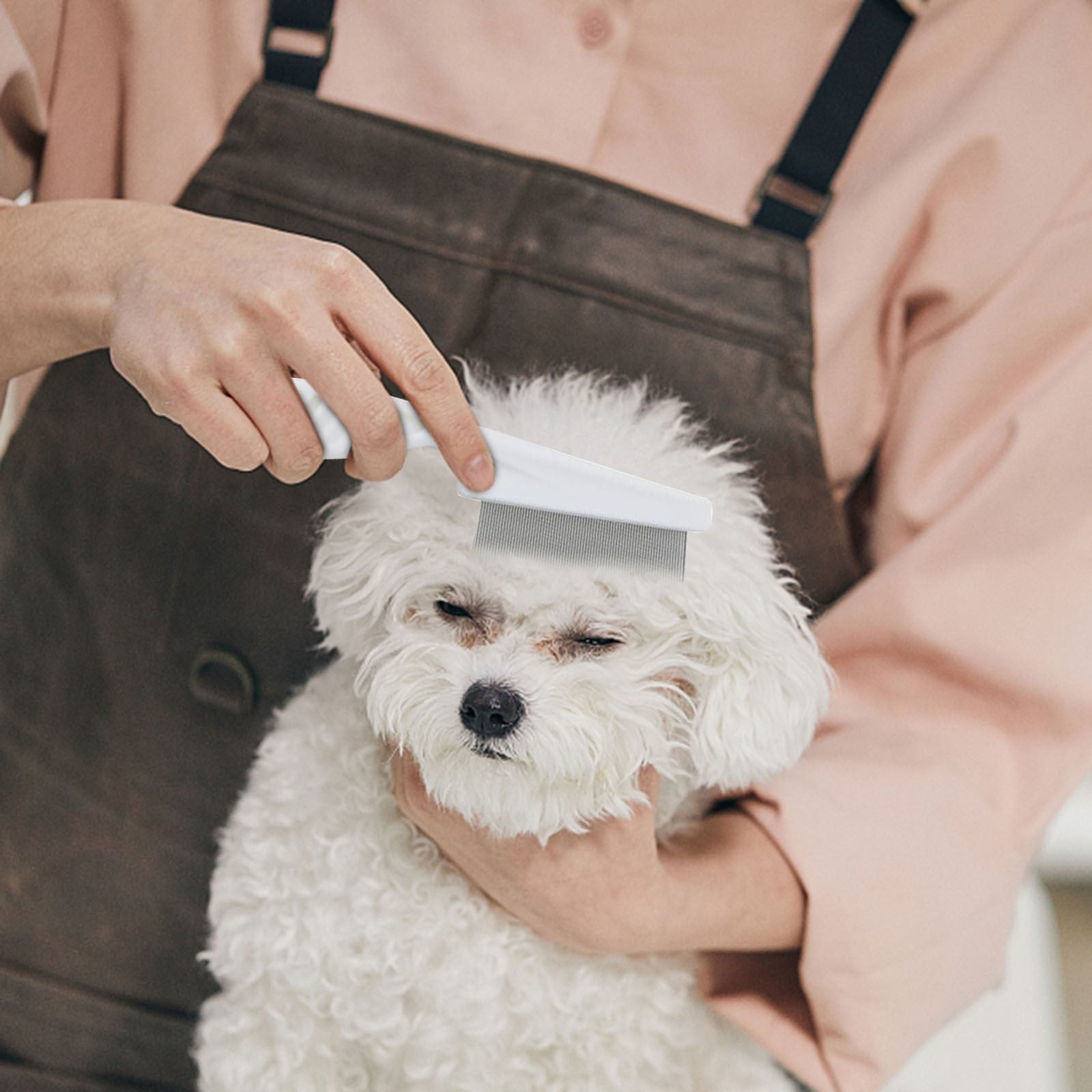 Herrnalise Multifunctional Pet Hair Comb Tear Stain Removal, Dog/Cat Lice Comb, Flea Brush for Cats, Suitable for Small Dogs Puppies, 2 in 1 Dog/Cat Comb Teeth Stainless Steel Combing Massage