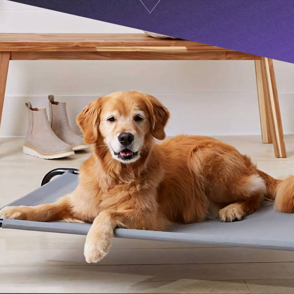 ACDANC Flea Comb,Dog Pet Cat Flea Comb Dog Hair Brush,Self Cleaning Tool Dog Grooming Brush,Pink,Style 1