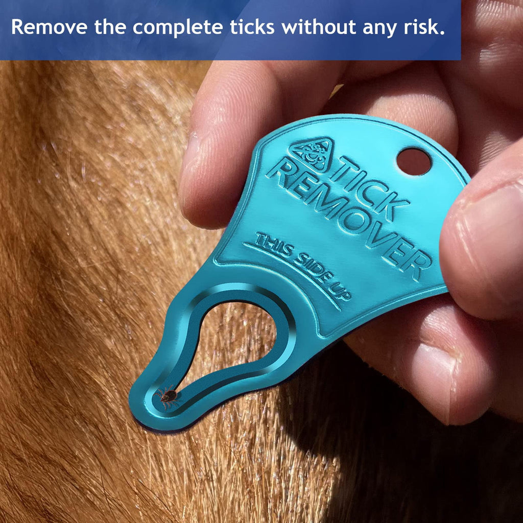 3 Pack Tick Remover Tool Portable, Tick Removal for Dogs and Humans, Safe and Reliable, Pain-Free, Essential Tools for Outdoor Activities