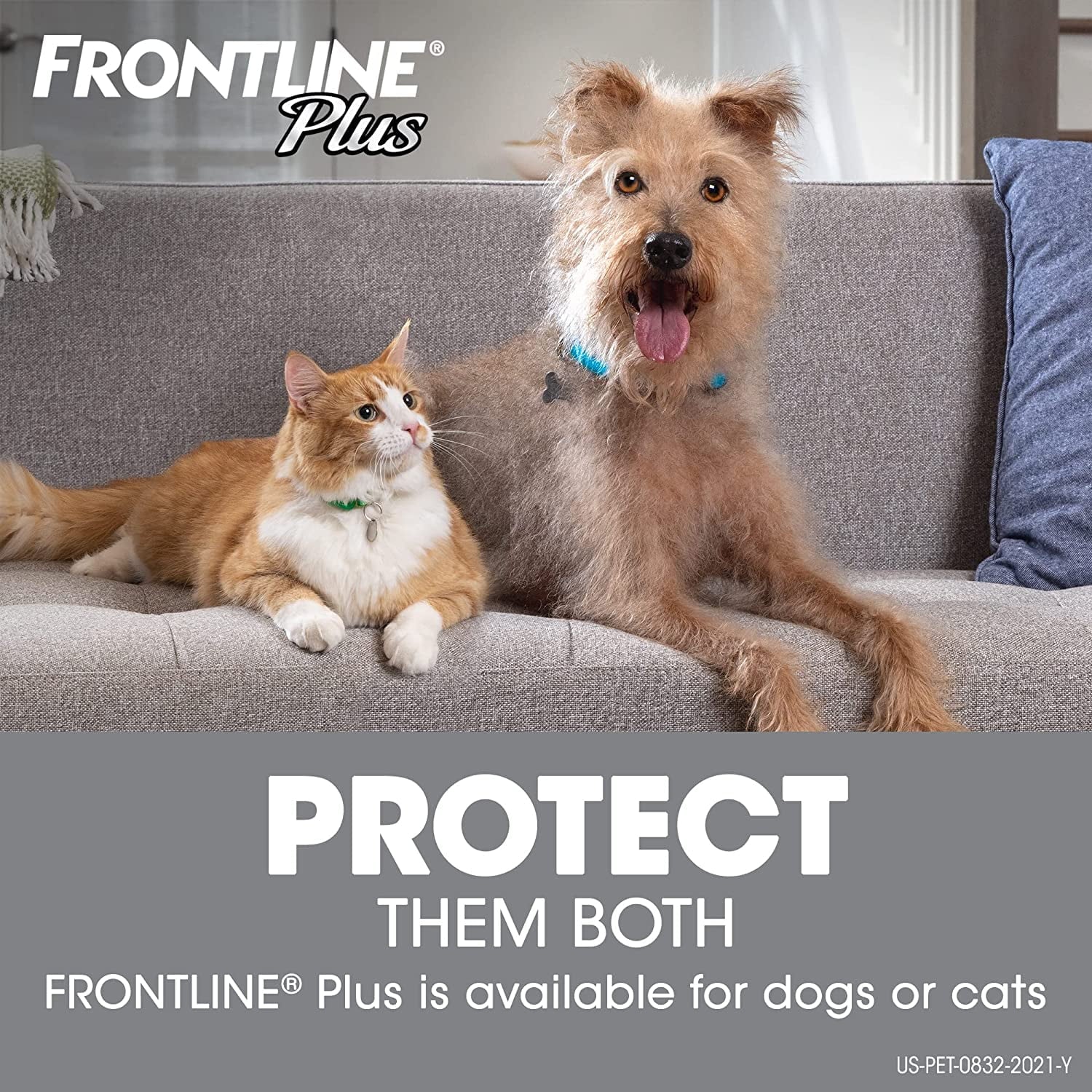 FRONTLINE Plus Flea and Tick Treatment for Dogs (Small Dog, 5-22 Pounds, 6 Doese)