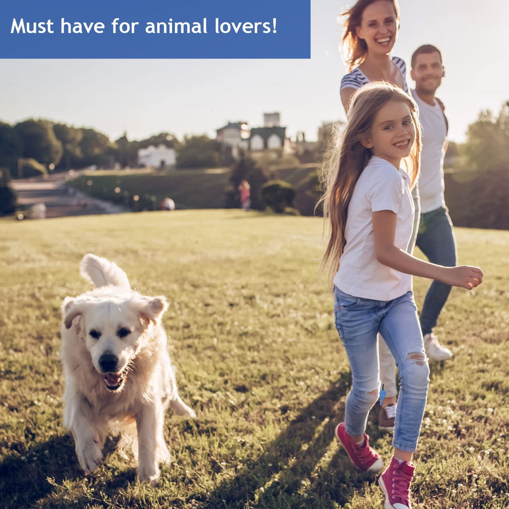 3 Pack Tick Remover Tool Portable, Tick Removal for Dogs and Humans, Safe and Reliable, Pain-Free, Essential Tools for Outdoor Activities