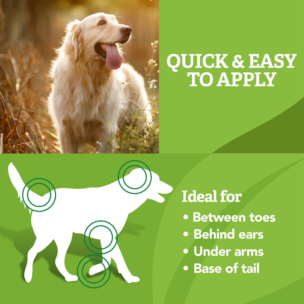 Natural Care Flea & Tick Leave-In Foam for Dogs - 8 Ounces