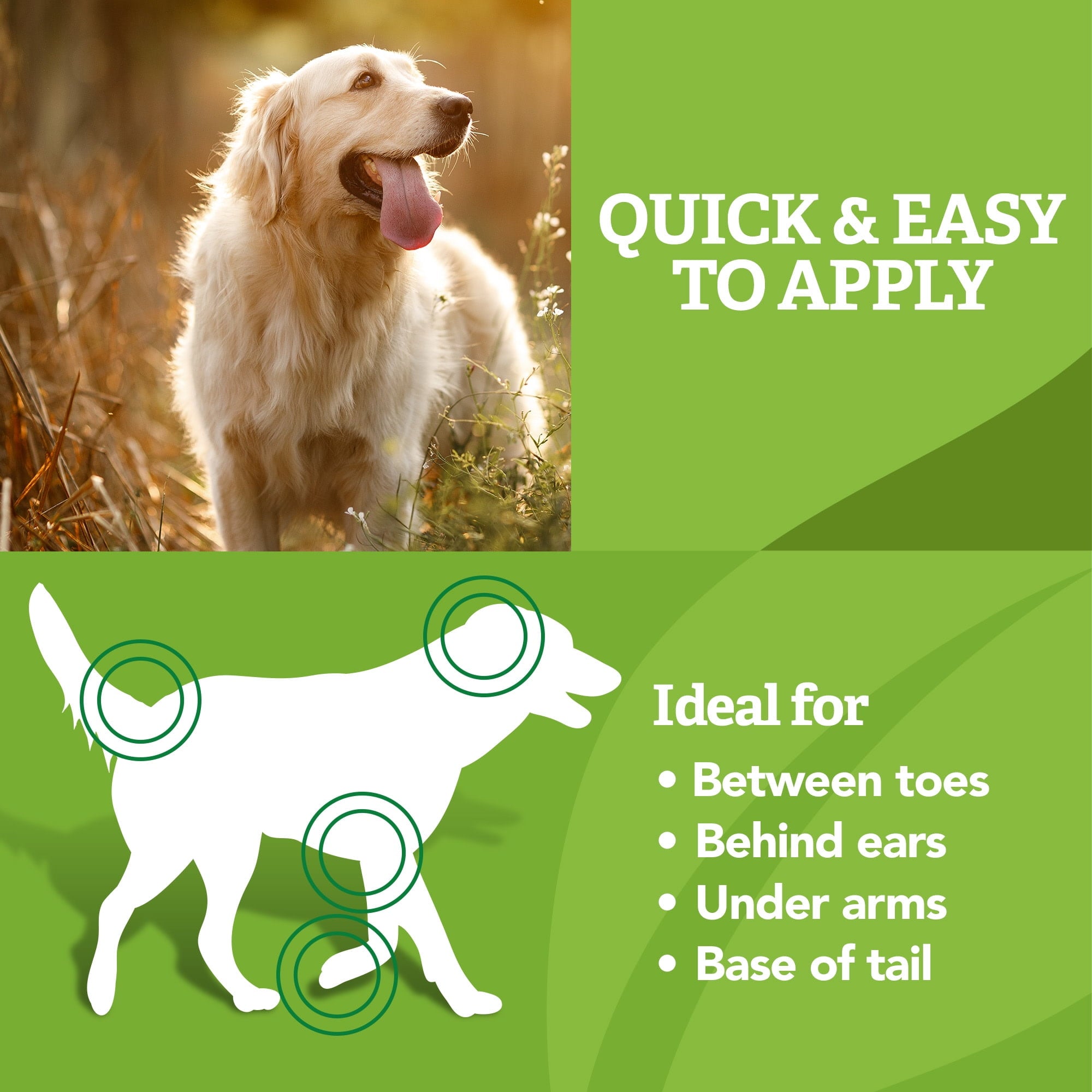 Natural Care Flea & Tick Leave-In Foam for Dogs - 8 Ounces