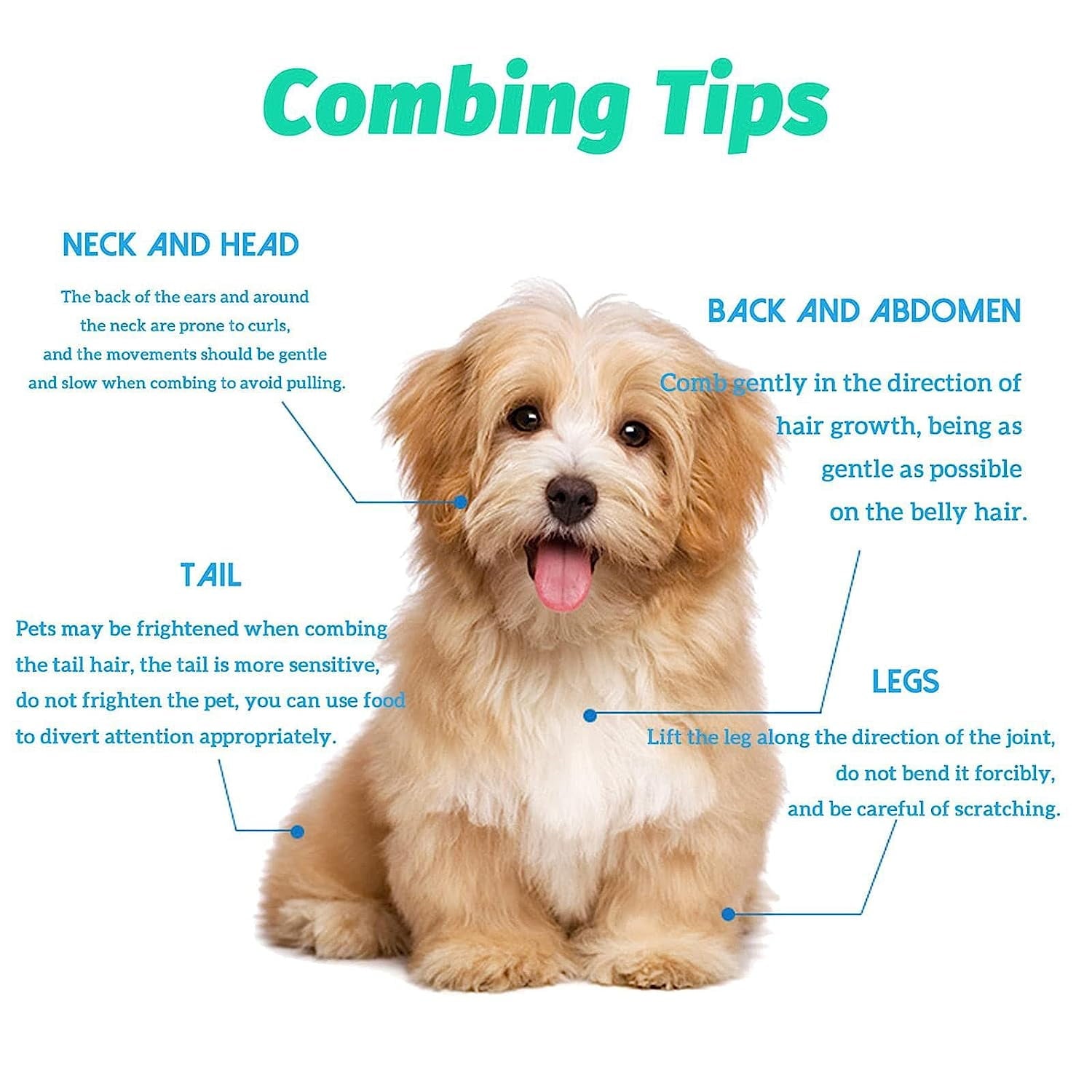 Pet Grooming Comb Set, 2 Pcs Fine Tooth Hair Combs for Dog Flea, Lice, and Tear Stain Removal, Tick and Dandruff Removal Brush for Puppy and Kitten