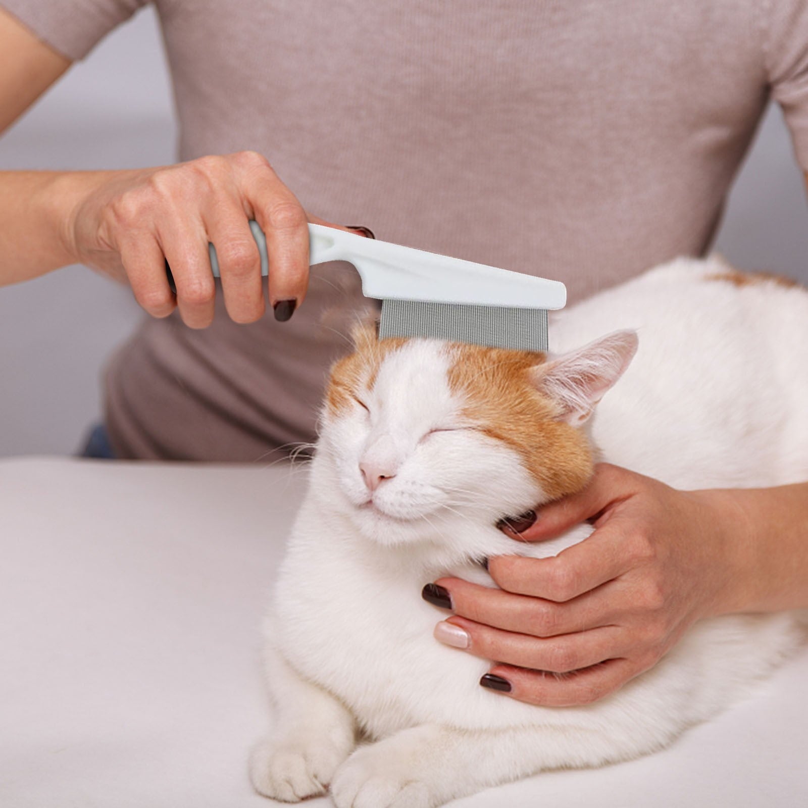 Herrnalise Multifunctional Pet Hair Comb Tear Stain Removal, Dog/Cat Lice Comb, Flea Brush for Cats, Suitable for Small Dogs Puppies, 2 in 1 Dog/Cat Comb Teeth Stainless Steel Combing Massage