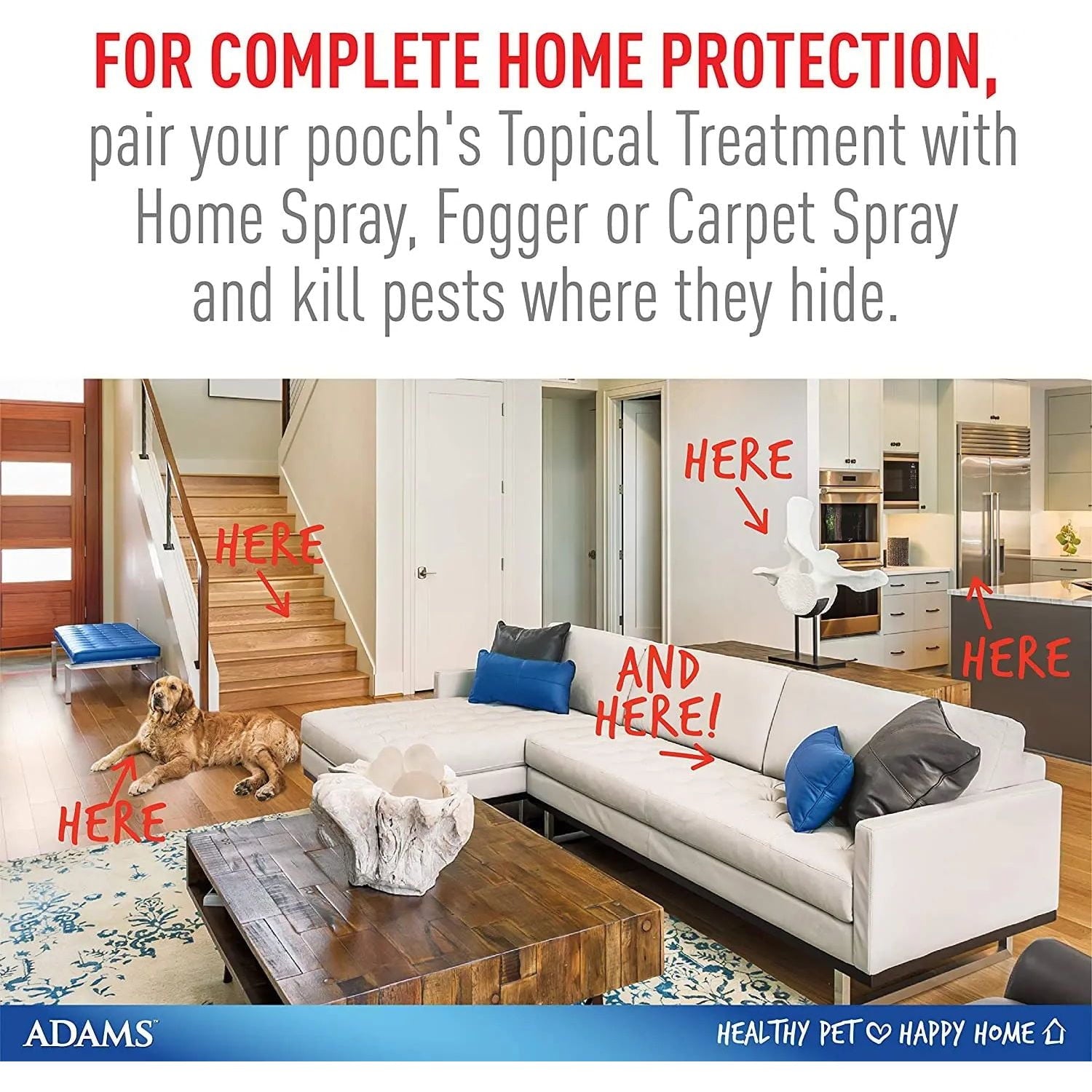 Adams Plus Flea and Tick Spot On for Extra Large Dogs 61-150 lbs. 1-Month Supply