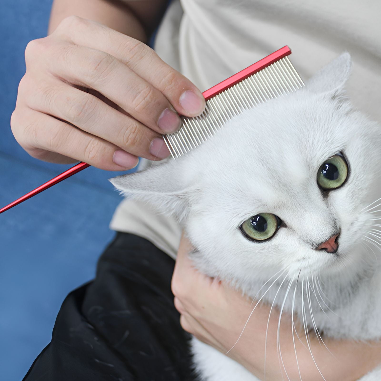 ACDANC Dog Comb,Strong Bristles Metal Comb,Precise Grooming Dematting Comb for Dogs,Blue