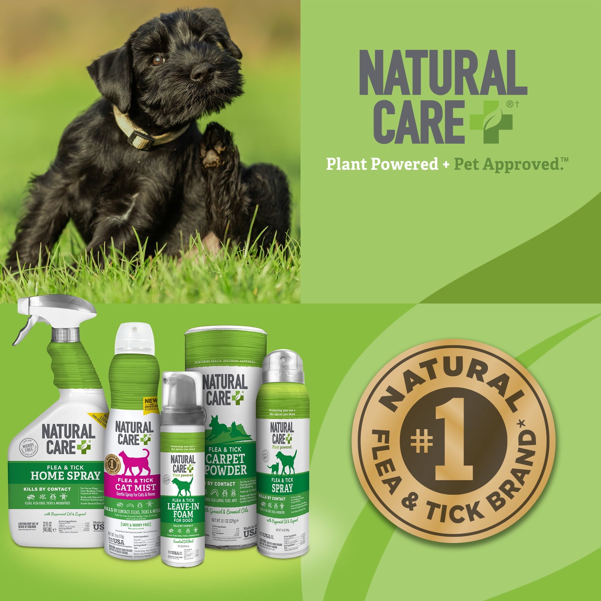 Natural Care Flea & Tick Leave-In Foam for Dogs - 8 Ounces
