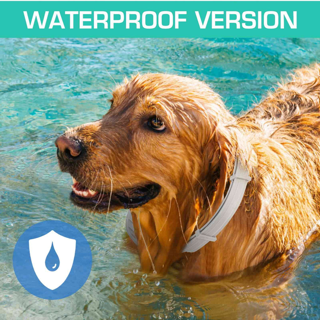 UrbanX Natural Ingredients, Flea and Tick Prevention and Treatment Collar for Norwegian Buhund and Other Medium Size Herding Dogs Dogs. Waterproof & Adjustable. (2 Pack with Comb)