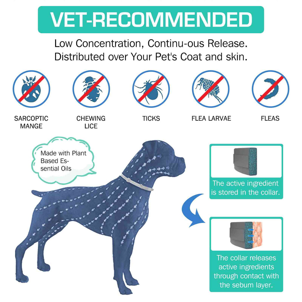 UrbanX Natural Ingredients, Flea and Tick Prevention and Treatment Collar for Norwegian Buhund and Other Medium Size Herding Dogs Dogs. Waterproof & Adjustable. (2 Pack with Comb)