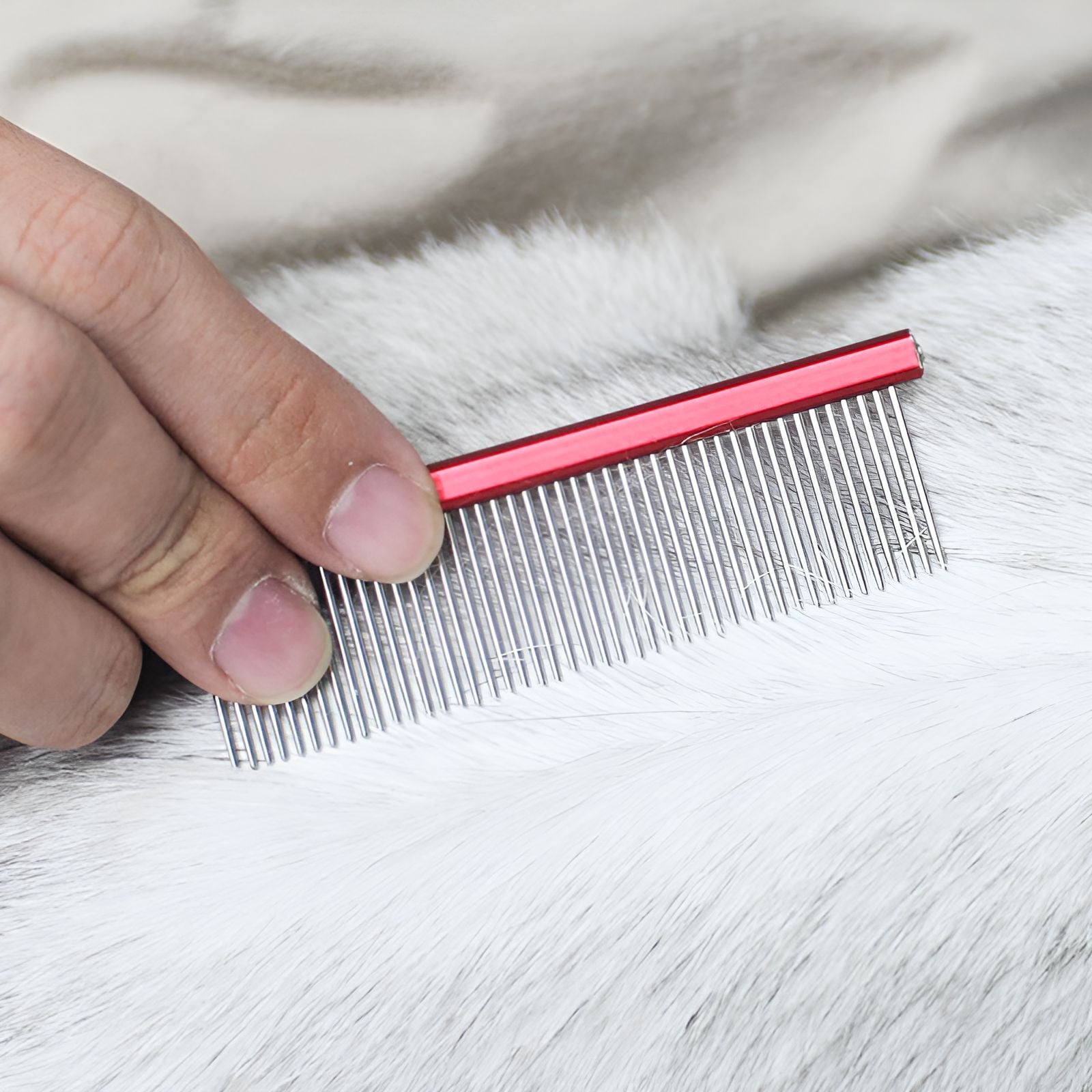 ACDANC Dog Comb,Strong Bristles Metal Comb,Precise Grooming Dematting Comb for Dogs,Blue