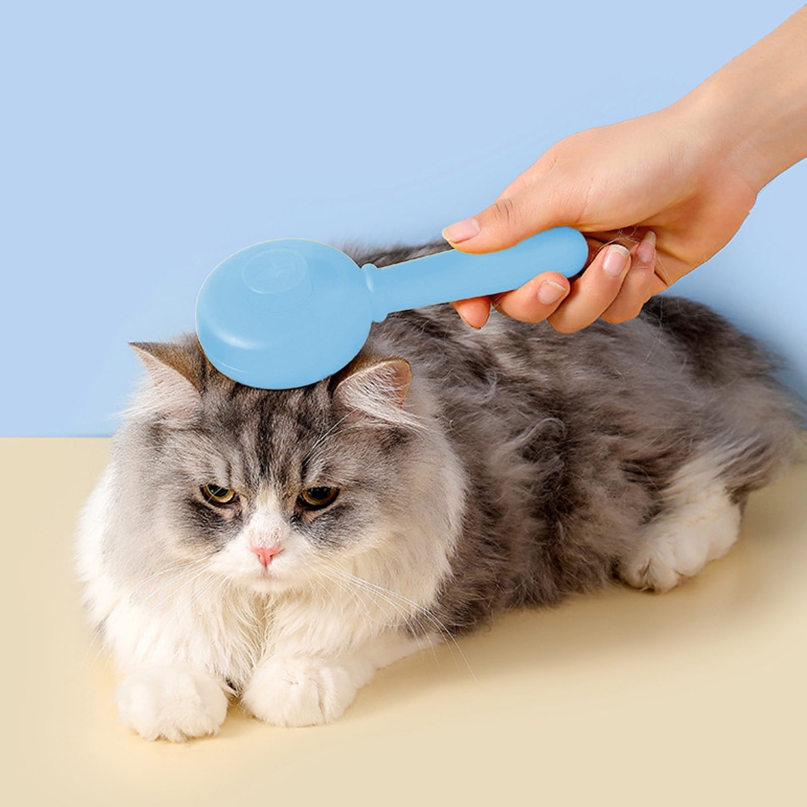 Guozer Pet-spray-massage-comb for Cats and Dogs 1PCS Dog-hair-brush with Spray Function Dog-shedding-brush Pet Hair Cleaning Misting Comb