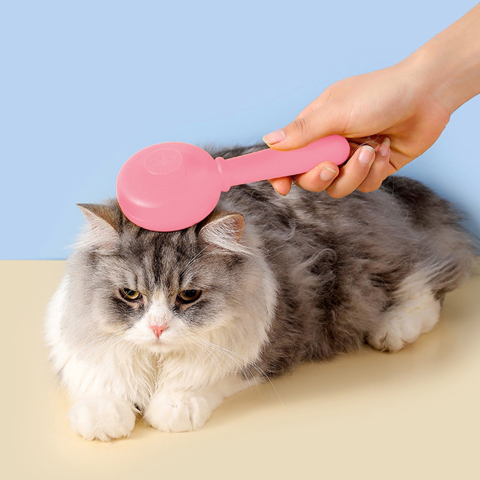 Guozer Pet-spray-massage-comb for Cats and Dogs 1PCS Dog-hair-brush with Spray Function Dog-shedding-brush Pet Hair Cleaning Misting Comb