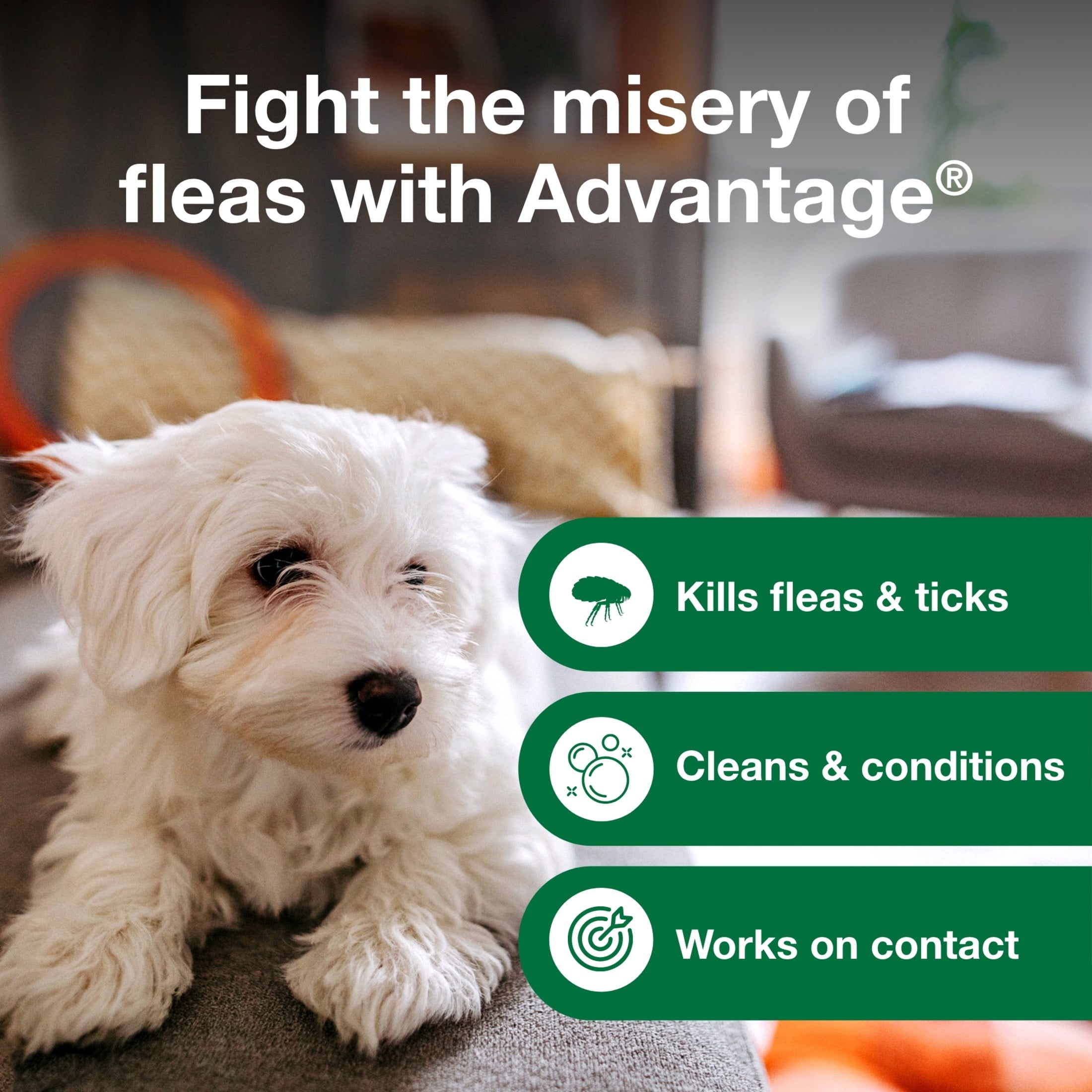 Advantage Dog Flea & Tick Shampoo for Puppies & Adult Dogs, Kills Fleas & Ticks, 12 oz.