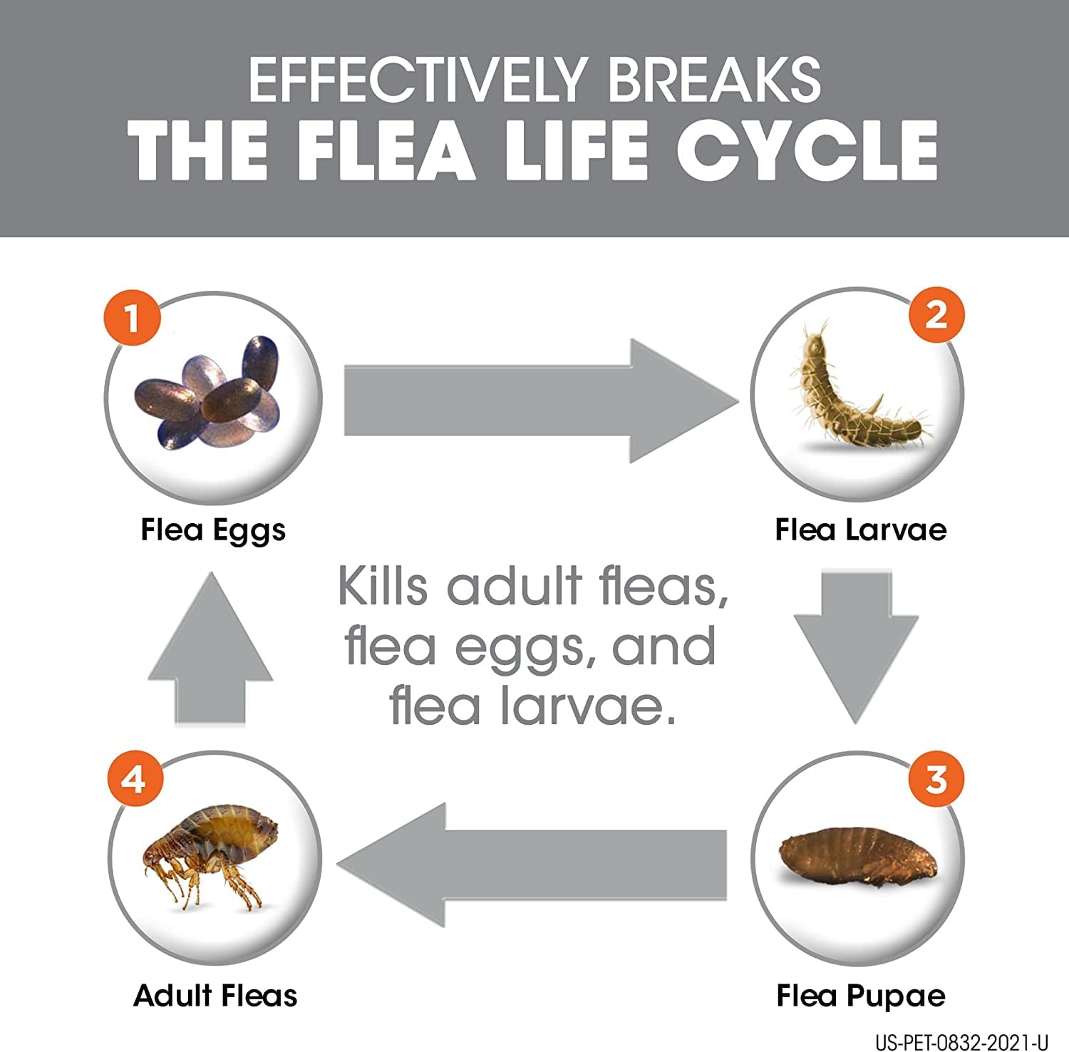 FRONTLINE Plus Flea and Tick Treatment for Dogs (Small Dog, 5-22 Pounds, 6 Doese)
