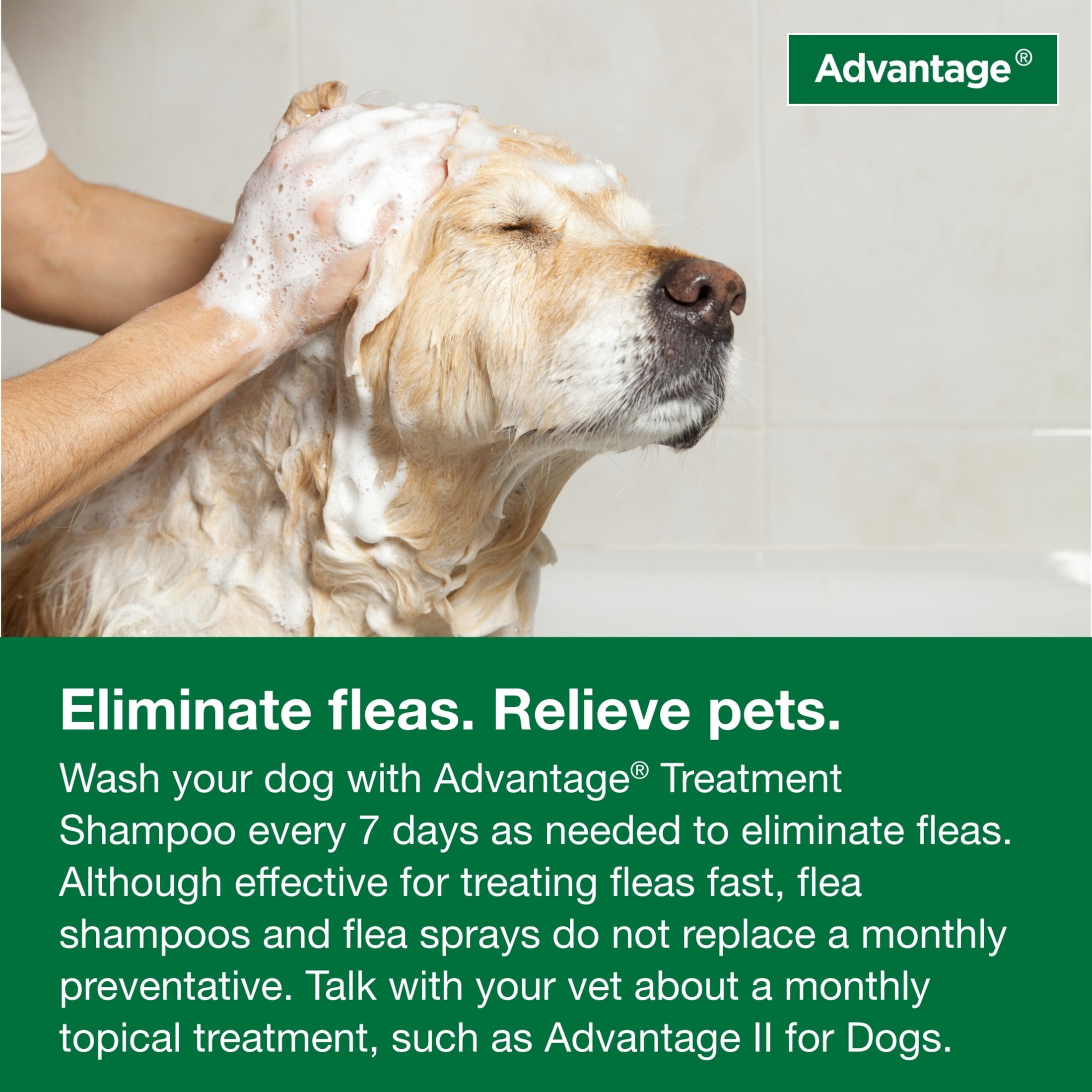 Advantage Dog Flea & Tick Shampoo for Puppies & Adult Dogs, Kills Fleas & Ticks, 12 oz.