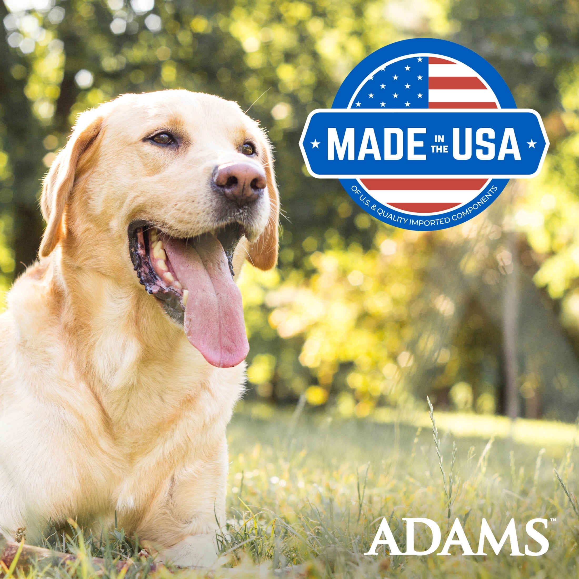 Adams Flea & Tick Collar Plus for Dogs & Puppies, 2 Collars, One Size