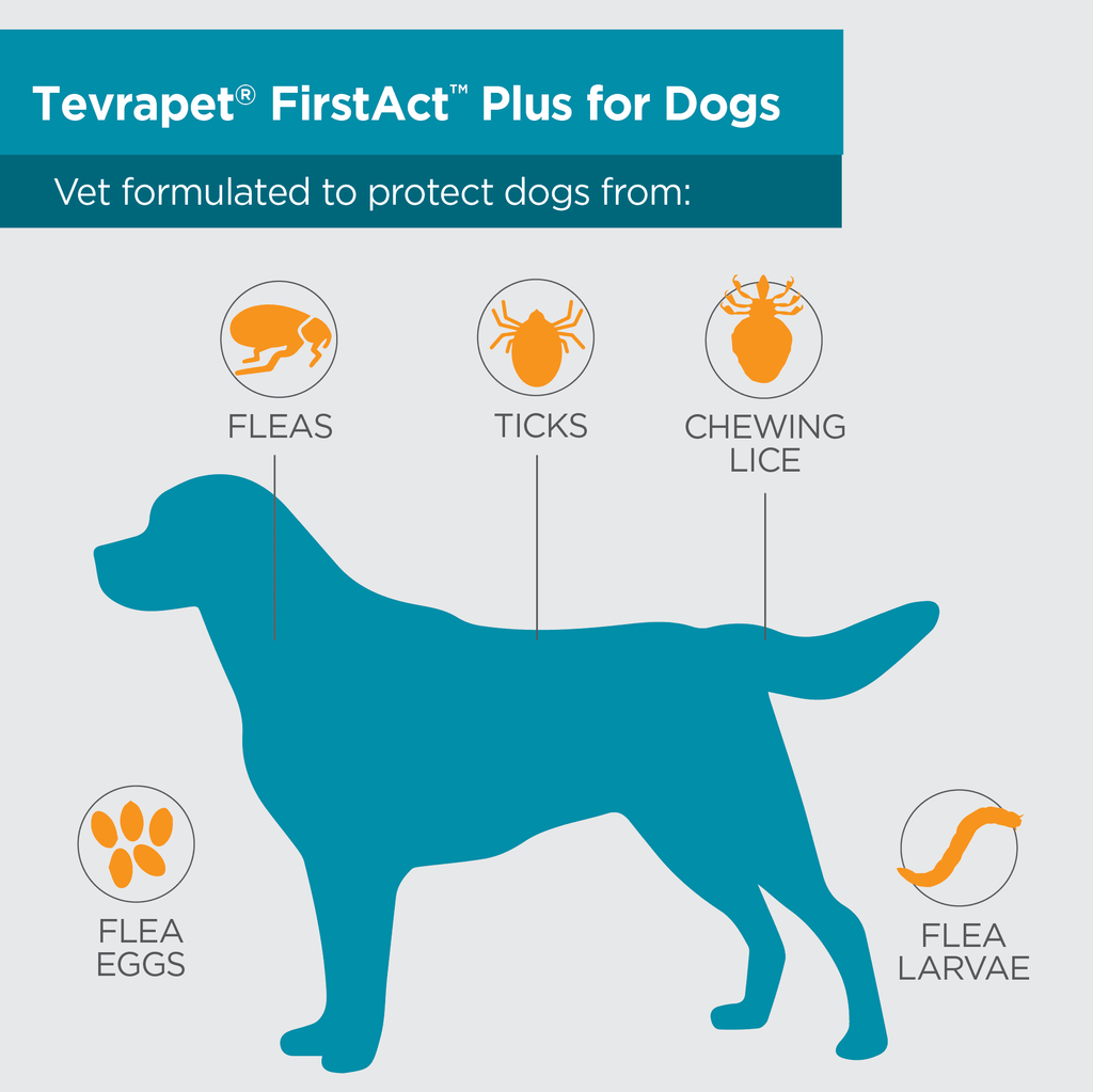 TevraPet FirstAct Plus Flea and Tick Prevention for Large Dogs 45-88 lbs, 6 Monthly Doses, Topical Drops
