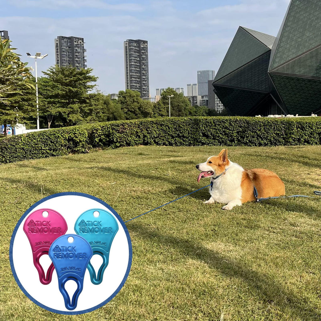 3 Pack Tick Remover Tool Portable, Tick Removal for Dogs and Humans, Safe and Reliable, Pain-Free, Essential Tools for Outdoor Activities