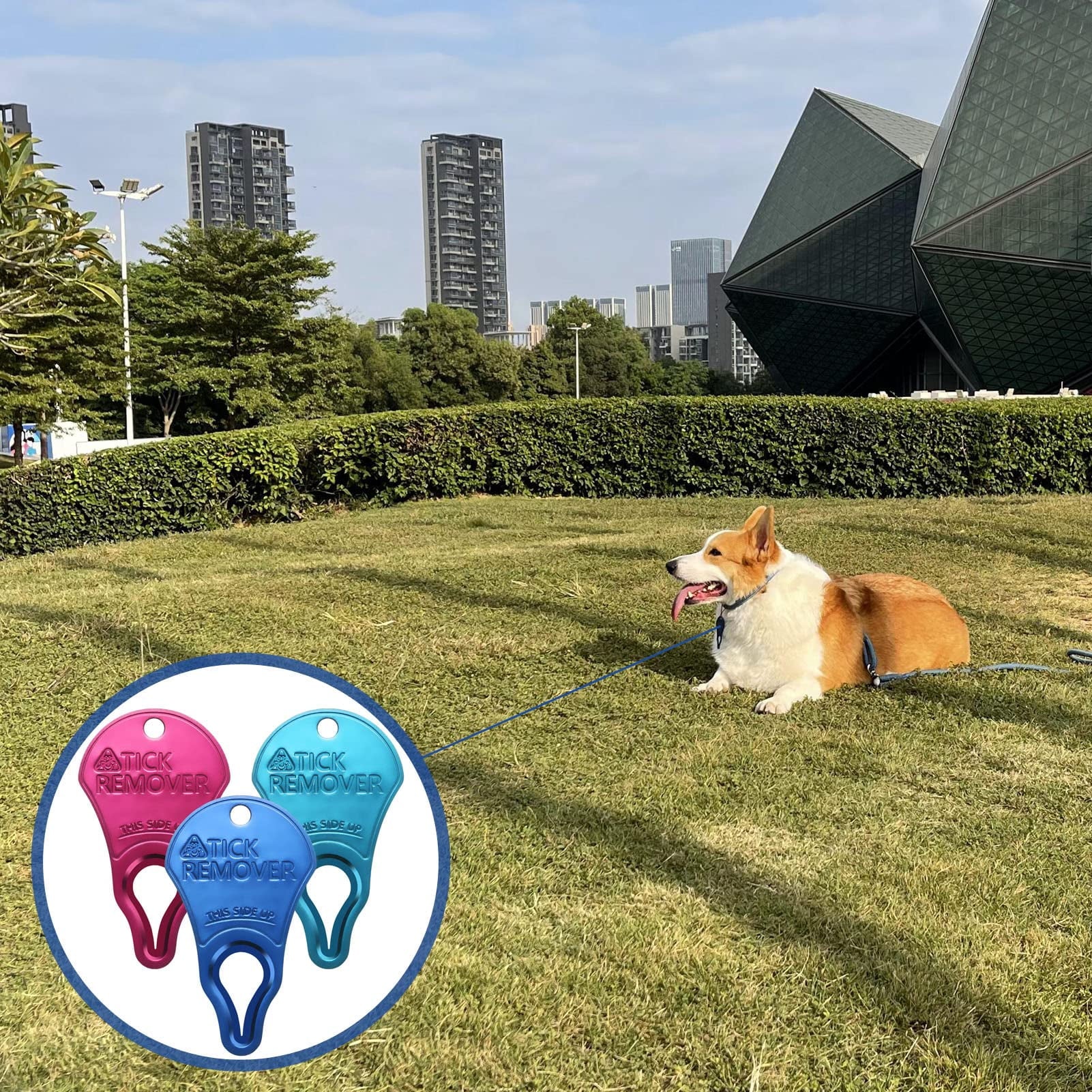 3 Pack Tick Remover Tool Portable, Tick Removal for Dogs and Humans, Safe and Reliable, Pain-Free, Essential Tools for Outdoor Activities