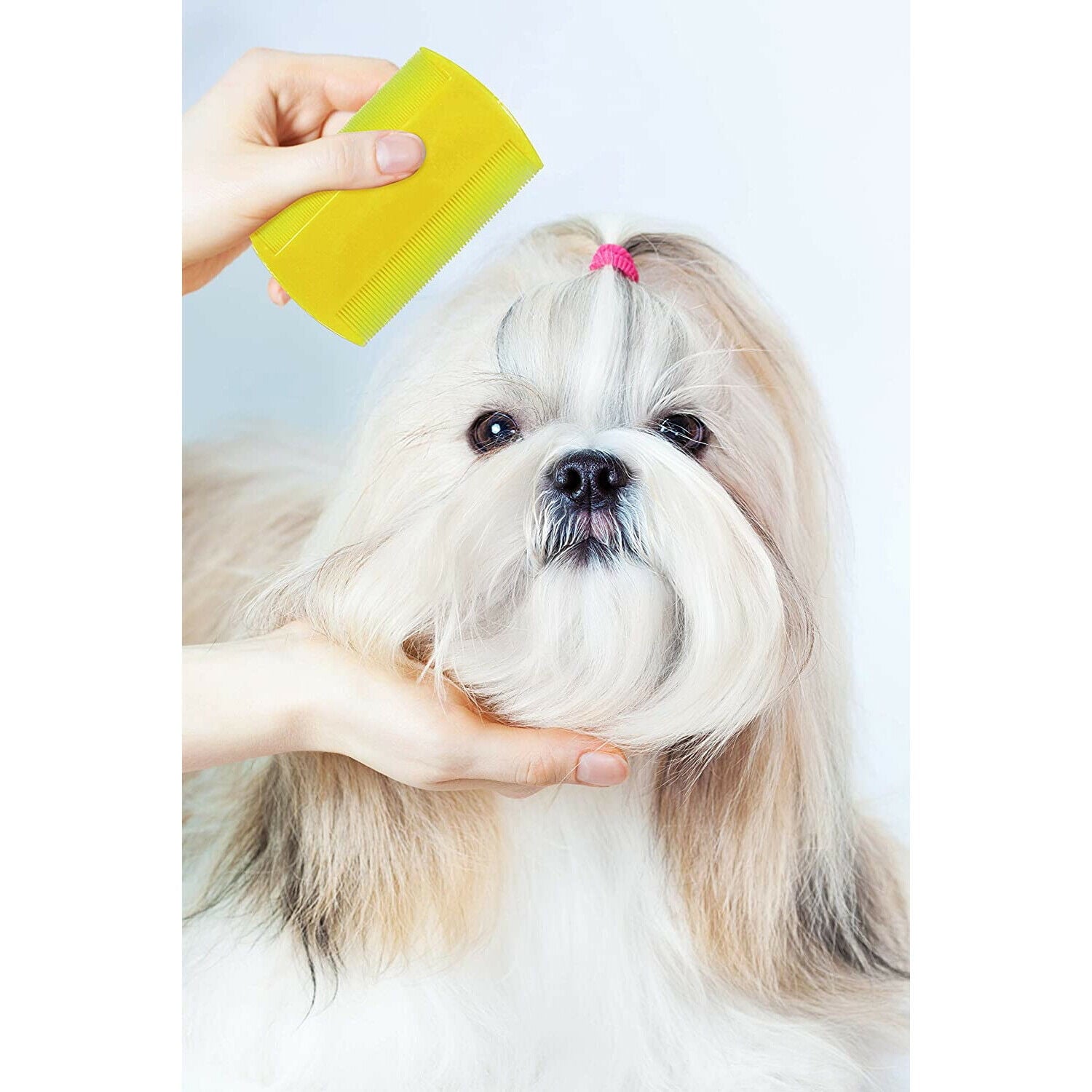Pets First Lice and Fle a Professional Grooming Comb for Cats, Dogs, and Mammals