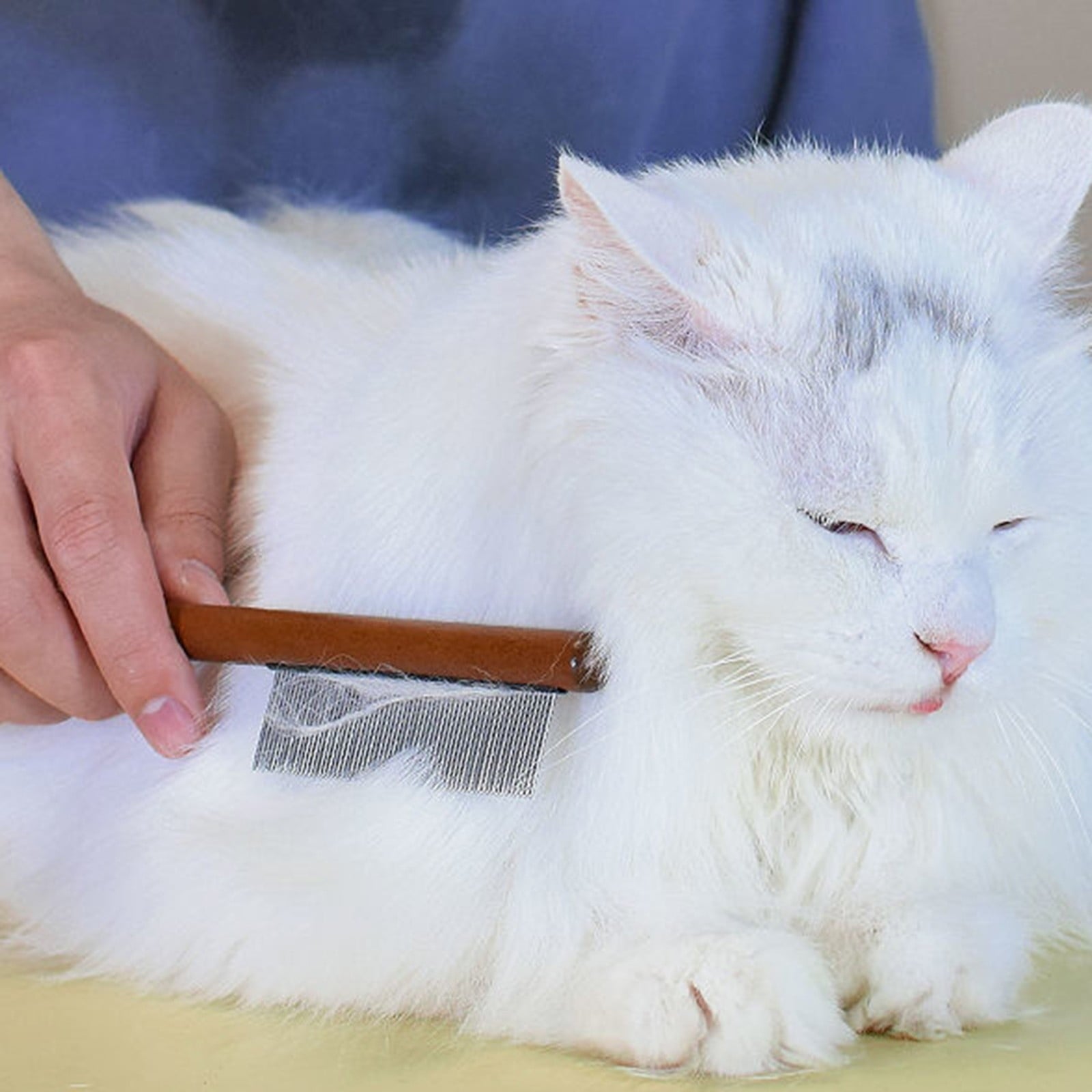 Leesechin Cats Comb For Removing Floating Hair Pet Comb For Removing Fleas Cats Dog Hair Cleaning Tools Cats And Dog Pet Supplies