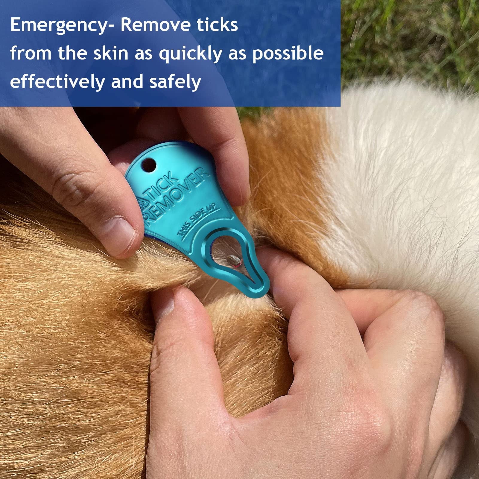 3 Pack Tick Remover Tool Portable, Tick Removal for Dogs and Humans, Safe and Reliable, Pain-Free, Essential Tools for Outdoor Activities