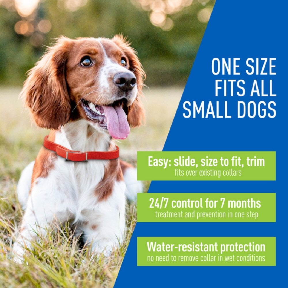 Adams Plus Flea and Tick Collar for Dogs Small