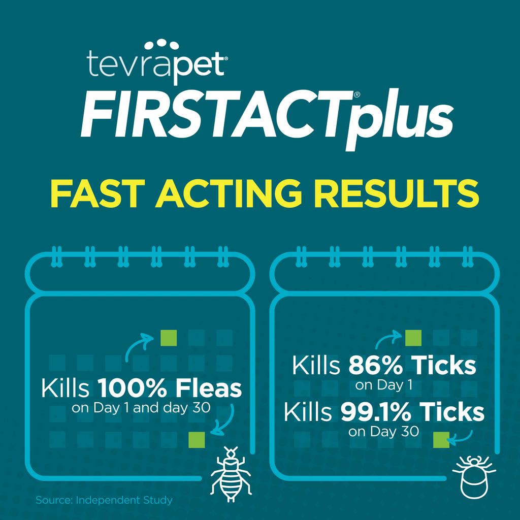 TevraPet FirstAct Plus Flea and Tick Prevention for Large Dogs 45-88 lbs, 6 Monthly Doses, Topical Drops