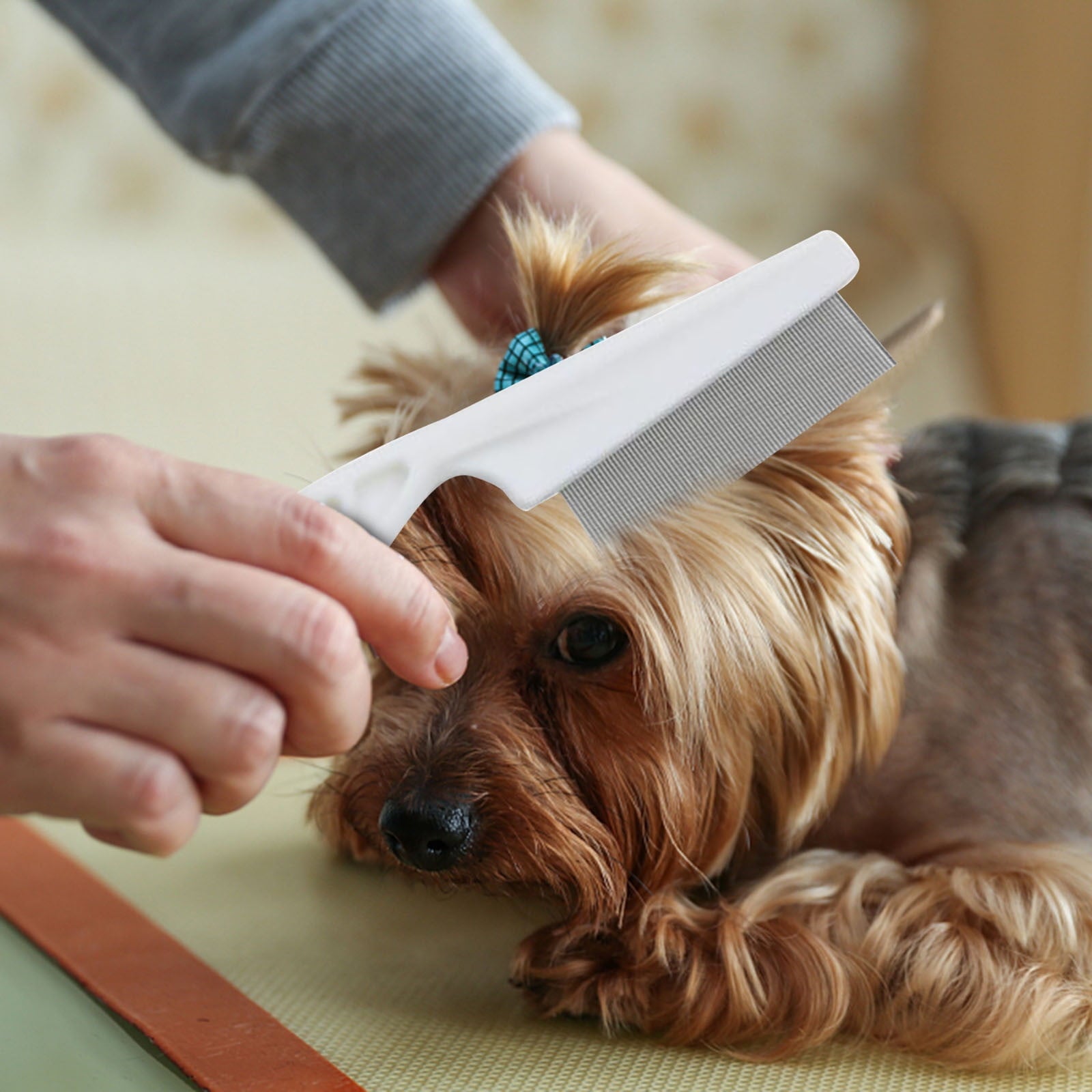 Cglfd Summer Savings Clearance Pet Flea Removal Comb Dog Comb Flea Removal Comb Beauty Comb Hair Removal Pet Comb