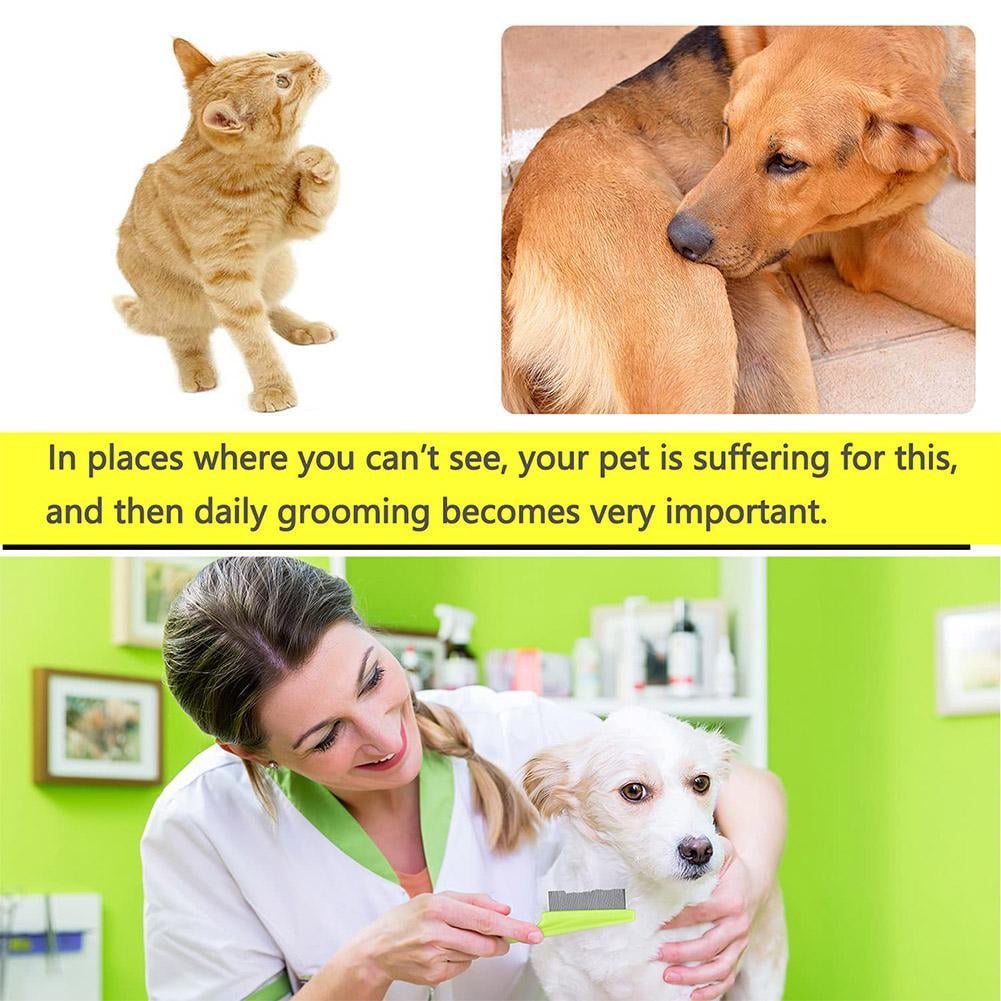 Pet Narrow Nit Comb Dog Massage Comb Hair Grooming Close Brush Hair Tooth Fleas Pet Car Cleaning Pet Combs S2z4 Tools U6K9